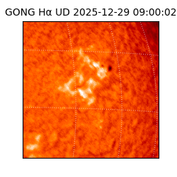 gong - 2025-12-29T09:00:02