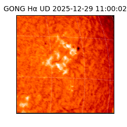 gong - 2025-12-29T11:00:02