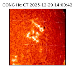 gong - 2025-12-29T14:00:42