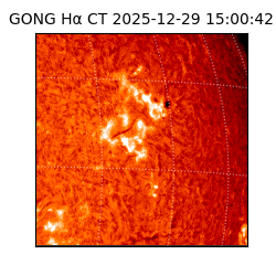 gong - 2025-12-29T15:00:42