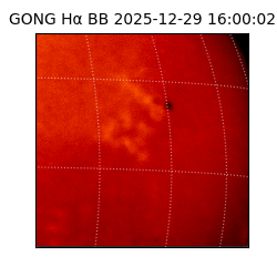 gong - 2025-12-29T16:00:02