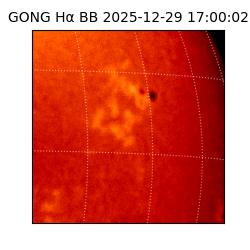 gong - 2025-12-29T17:00:02