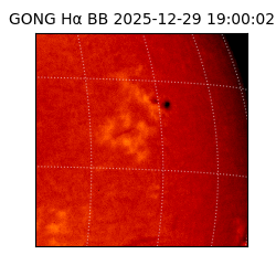 gong - 2025-12-29T19:00:02