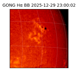 gong - 2025-12-29T23:00:02
