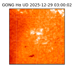 gong - 2025-12-29T03:00:02