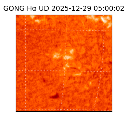 gong - 2025-12-29T05:00:02
