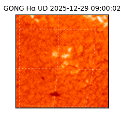 gong - 2025-12-29T09:00:02