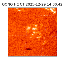 gong - 2025-12-29T14:00:42