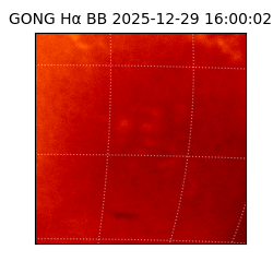 gong - 2025-12-29T16:00:02