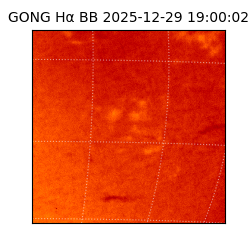 gong - 2025-12-29T19:00:02