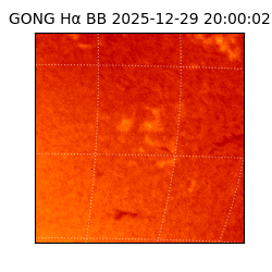 gong - 2025-12-29T20:00:02