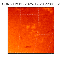 gong - 2025-12-29T22:00:02