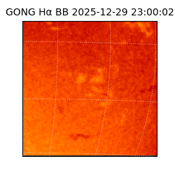 gong - 2025-12-29T23:00:02