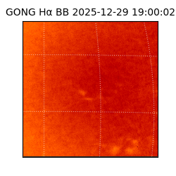 gong - 2025-12-29T19:00:02