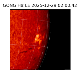 gong - 2025-12-29T02:00:42