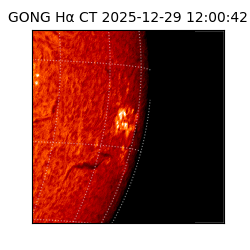 gong - 2025-12-29T12:00:42