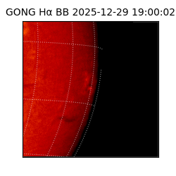 gong - 2025-12-29T19:00:02