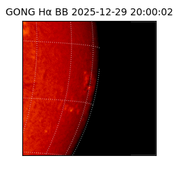 gong - 2025-12-29T20:00:02