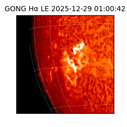 gong - 2025-12-29T01:00:42