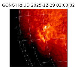 gong - 2025-12-29T03:00:02
