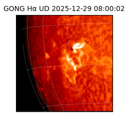 gong - 2025-12-29T08:00:02