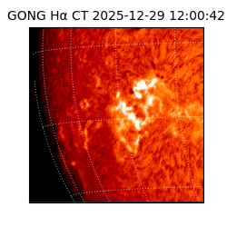 gong - 2025-12-29T12:00:42