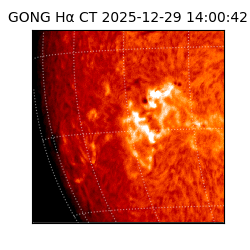 gong - 2025-12-29T14:00:42