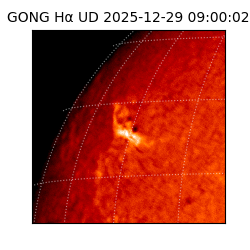 gong - 2025-12-29T09:00:02
