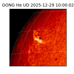 gong - 2025-12-29T10:00:02
