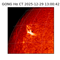 gong - 2025-12-29T13:00:42
