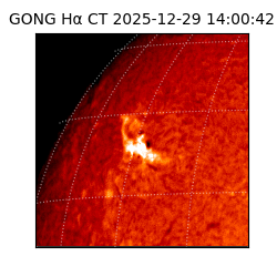 gong - 2025-12-29T14:00:42