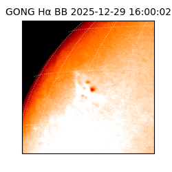 gong - 2025-12-29T16:00:02