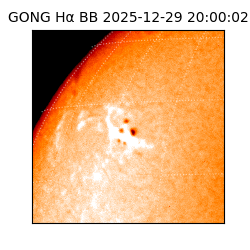 gong - 2025-12-29T20:00:02