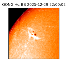 gong - 2025-12-29T22:00:02