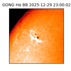 gong - 2025-12-29T23:00:02