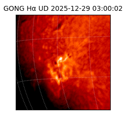 gong - 2025-12-29T03:00:02