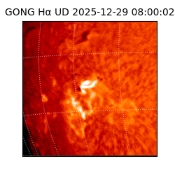 gong - 2025-12-29T08:00:02