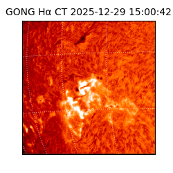 gong - 2025-12-29T15:00:42