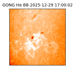 gong - 2025-12-29T17:00:02