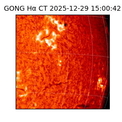 gong - 2025-12-29T15:00:42
