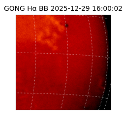 gong - 2025-12-29T16:00:02