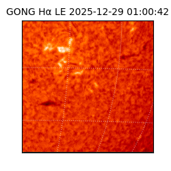 gong - 2025-12-29T01:00:42