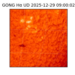 gong - 2025-12-29T09:00:02