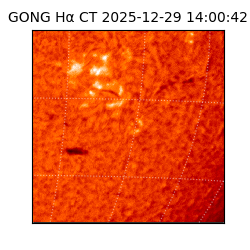 gong - 2025-12-29T14:00:42