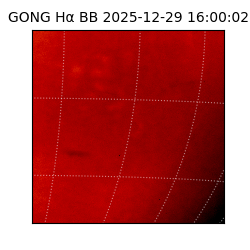 gong - 2025-12-29T16:00:02