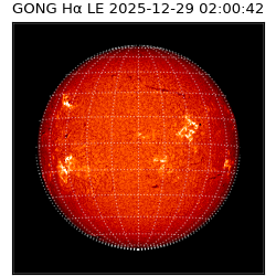 gong - 2025-12-29T02:00:42