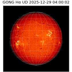 gong - 2025-12-29T04:00:02