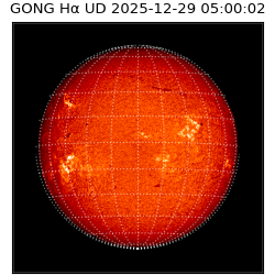 gong - 2025-12-29T05:00:02