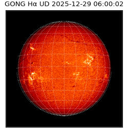 gong - 2025-12-29T06:00:02