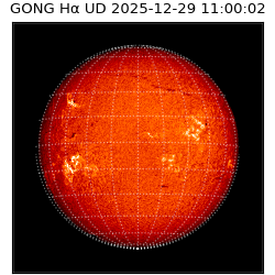 gong - 2025-12-29T11:00:02
